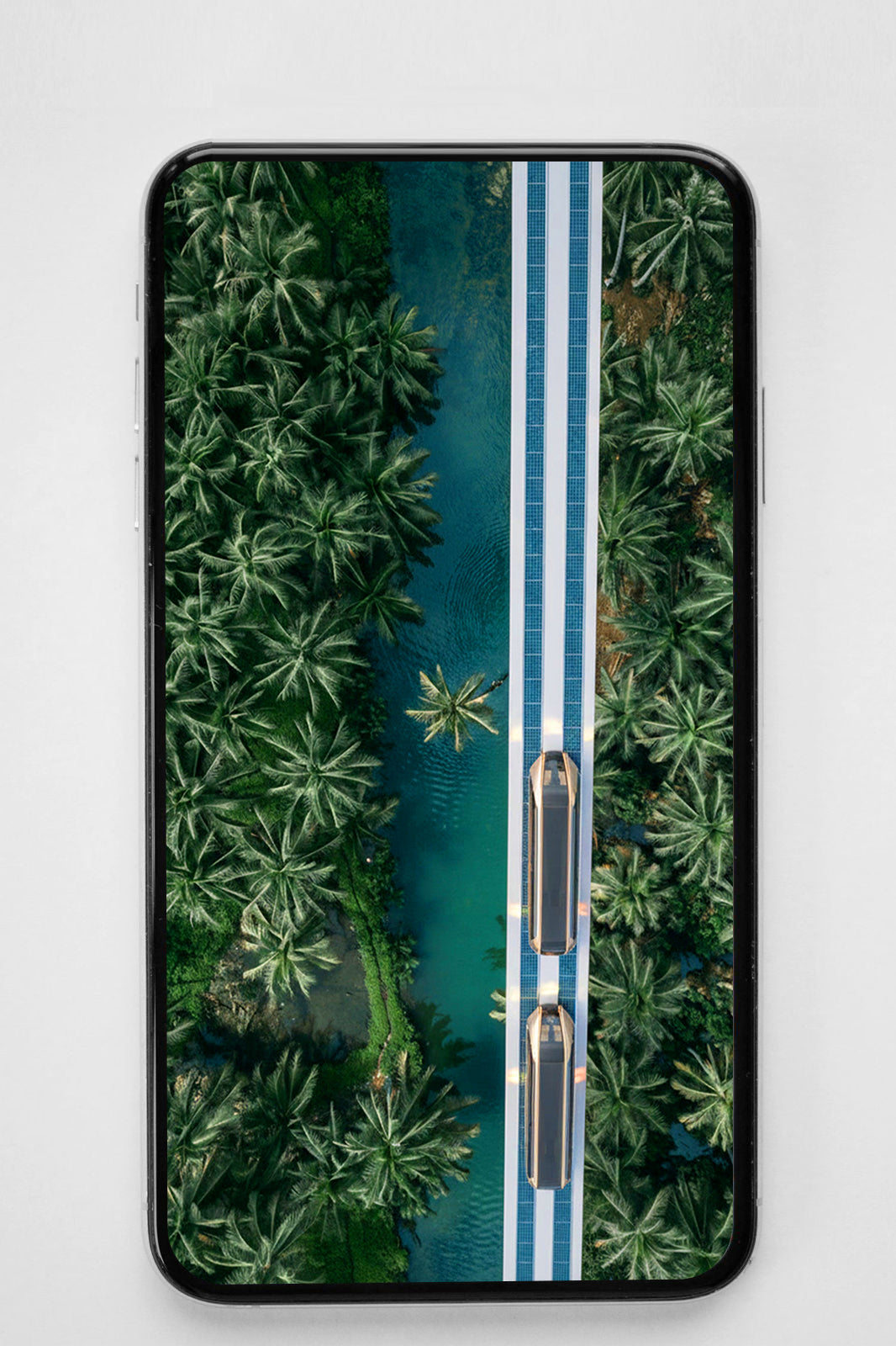 RAILBUS – Tropical Flow – Phone Wallpaper